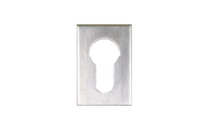 Metallic keyhole cover on a white background
