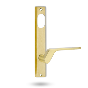 4901 INT & Square End Plate – Cylinder Hole with Multiple Lever Options