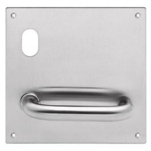 201 Interior Plate – LH/RH, Cylinder & Lever Options