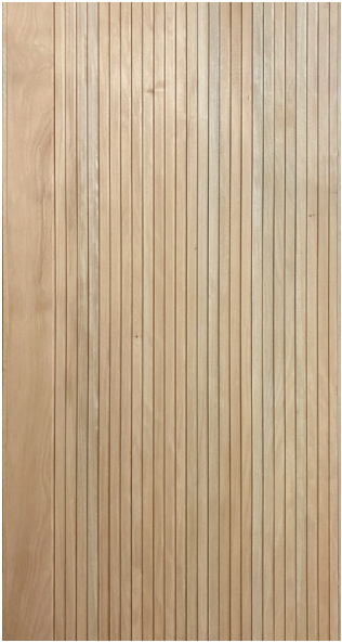 Pivot Doors FS DV plus - 2600x1500x60 