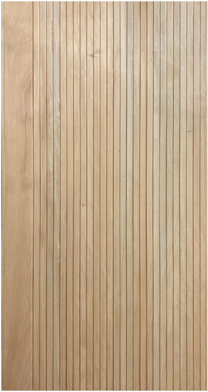 Pivot Doors FS DV plus - 2600x1500x60 