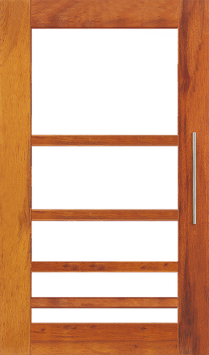 Infinity INF WS 5G Entrance Door