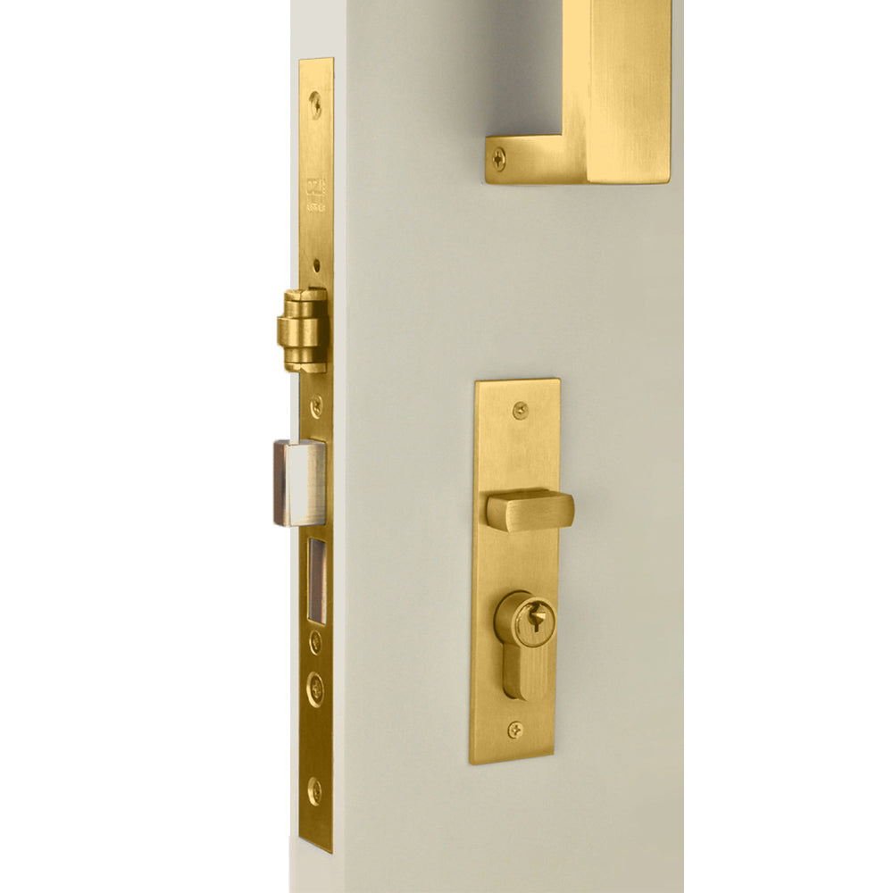 Nidus Right Hand SB inside plate 120x30x3mm outside plate 120x30x3mm