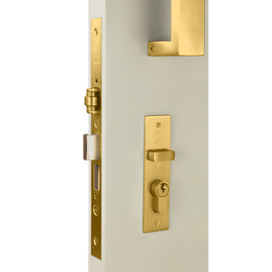 Nidus Right Hand SB inside plate 120x30x3mm outside plate 120x30x3mm
