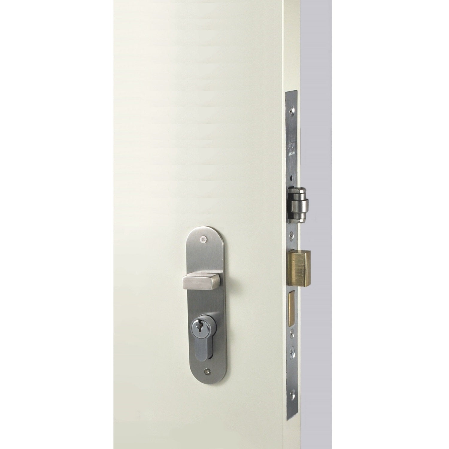 Nidus Left Hand SS inside plate 120x30x3mm outside plate 120x30x3mm