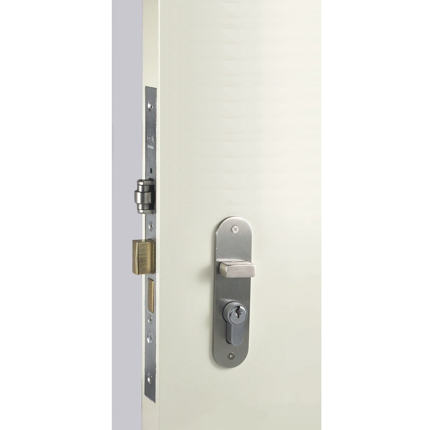 Nidus Right Hand SS inside plate 120x30x3mm outside plate 120x30x3mm
