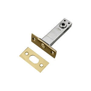 Nidus Polished Brass 5mm Cam