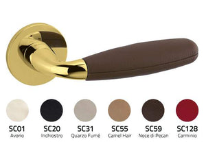 Door handle with brown handle and gold trim, accompanied by color swatches below.