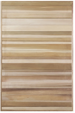 Pivot Doors FS CH - 2630X1540X50 